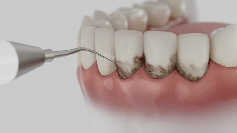 Reliable Dental contractor in Bridgetown, MS by Dentist Open Now